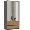Armadio 2 ante 90x180 cm con specchio rovere e antracite AT11