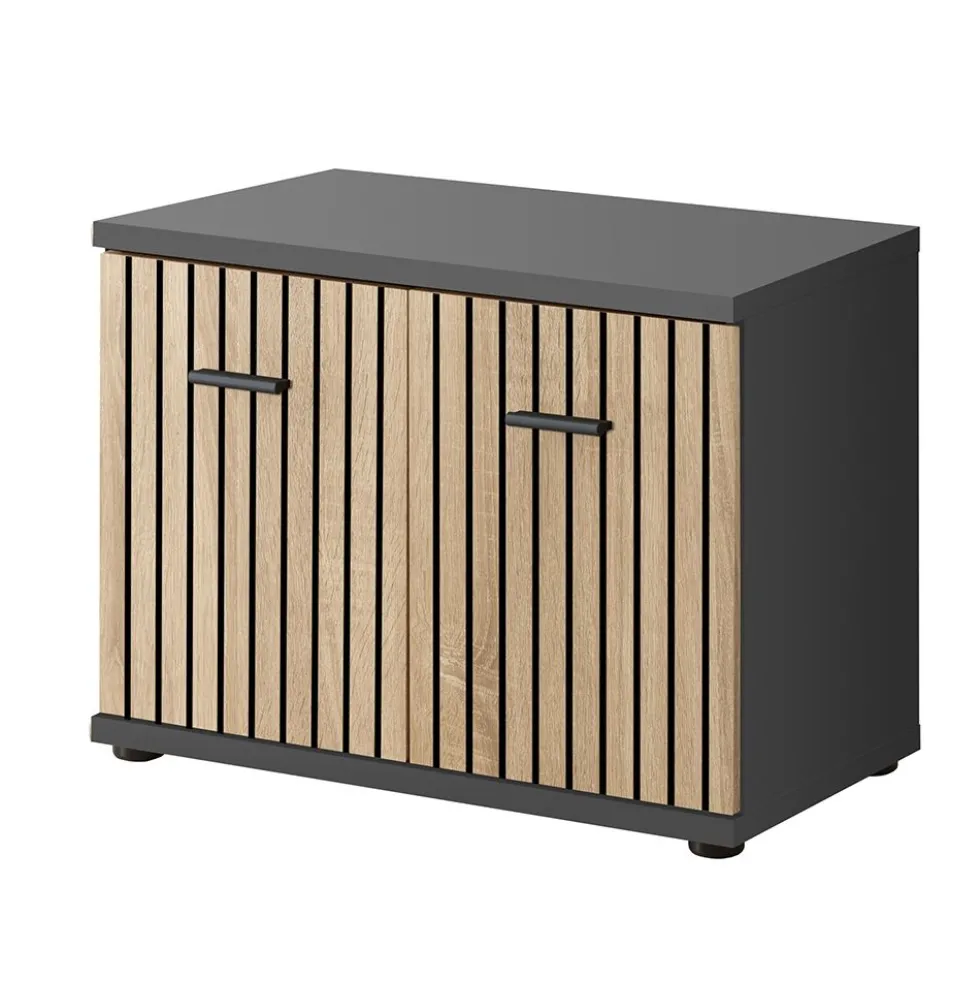 Mobile basso da ingresso moderno 60x46 SIP1