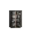 Mobile contenitore a 2 ante 106x171 cm grafite e rovere scuro MCL17