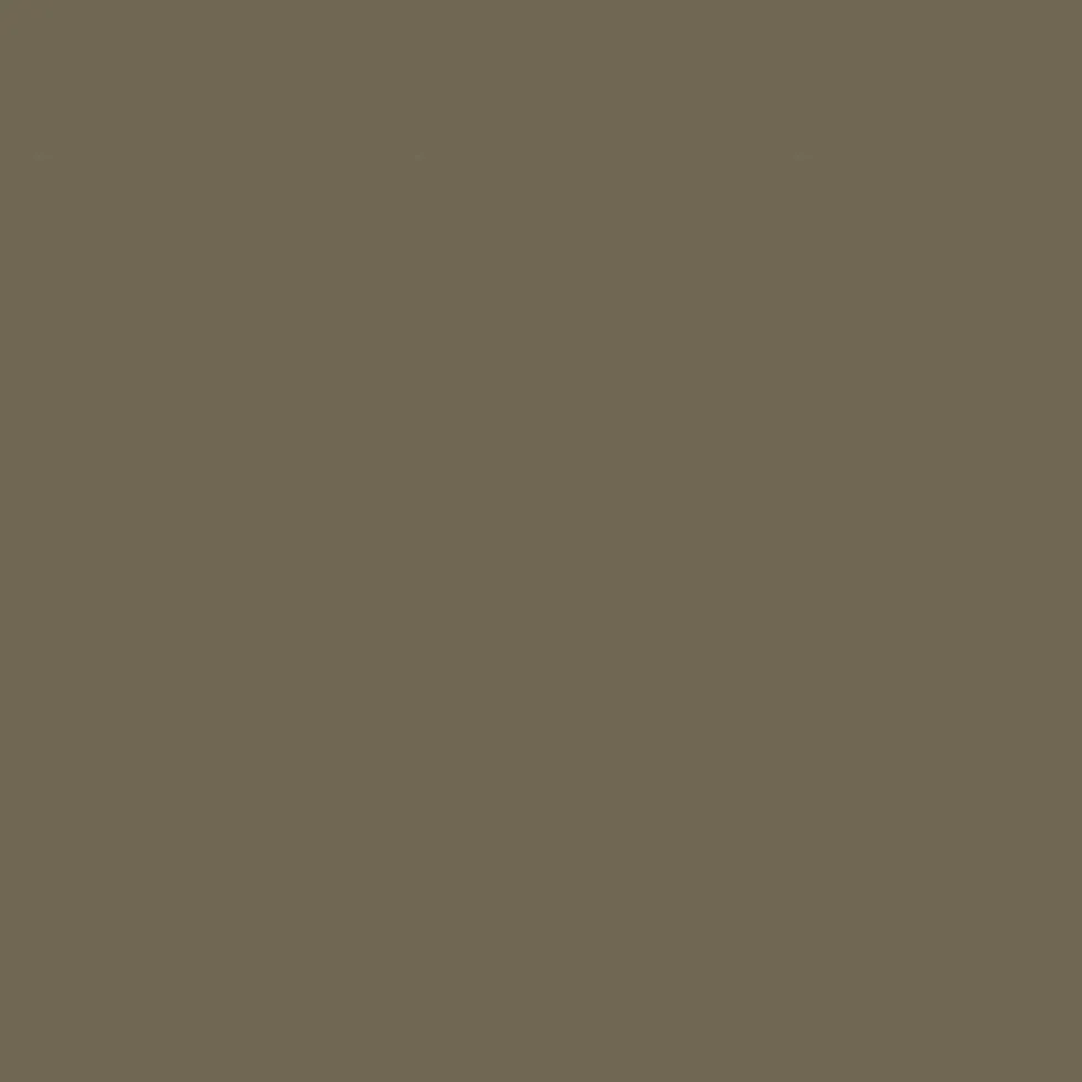Mobile ingresso moderno 110x220x37,5 cm rovere naturale e verde oliva IU33