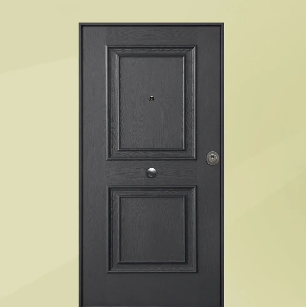 Porta blindata da esterno acciaio INOX in vetroresina diversi colori 90x210 PB221