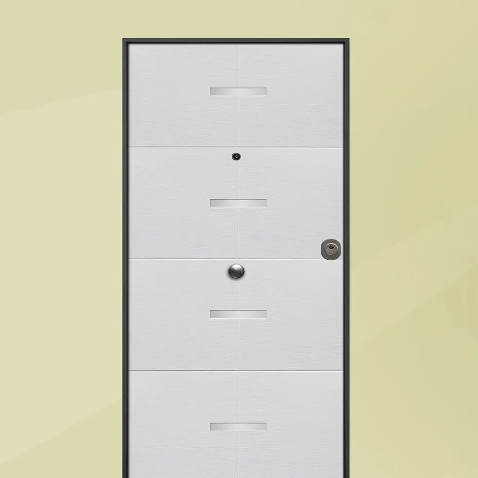 Portone blindato da esterno in vetroresina diversi colori 80/85/90x210 PB60