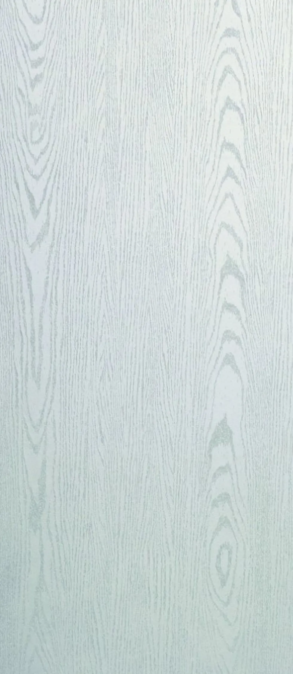 Portone blindato da esterno in vetroresina e interno bianco 80/85/90x210 PB95