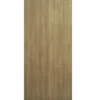 Portone blindato da interno bianco in laminato diversi colori 80/90x200/220 PB107