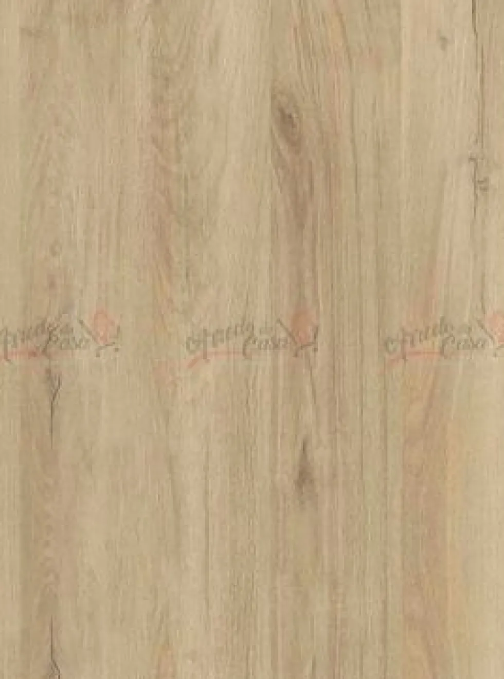 Scrivania moderna in rovere naturale SCI13
